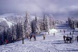 The Best Time of Year to Plan a Ski or Snowboard Trip