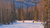 Explore Moose Mountain Ski Resort: All the Details