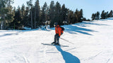 Ski Goggle Lenses Explained | Powder Goods