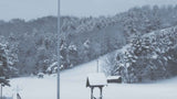 Snow Ridge Ski Resort: Everything You Should Know