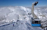 Snowbird Magic Ski Resorts and Artistic Escapes