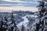 West Virginia Ski Resort Posters