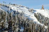 Washington State Ski Resort Posters