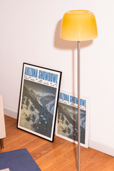 Arizona Snowbowl Ski Resort Poster