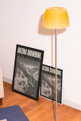 Arizona Snowbowl Resort Poster