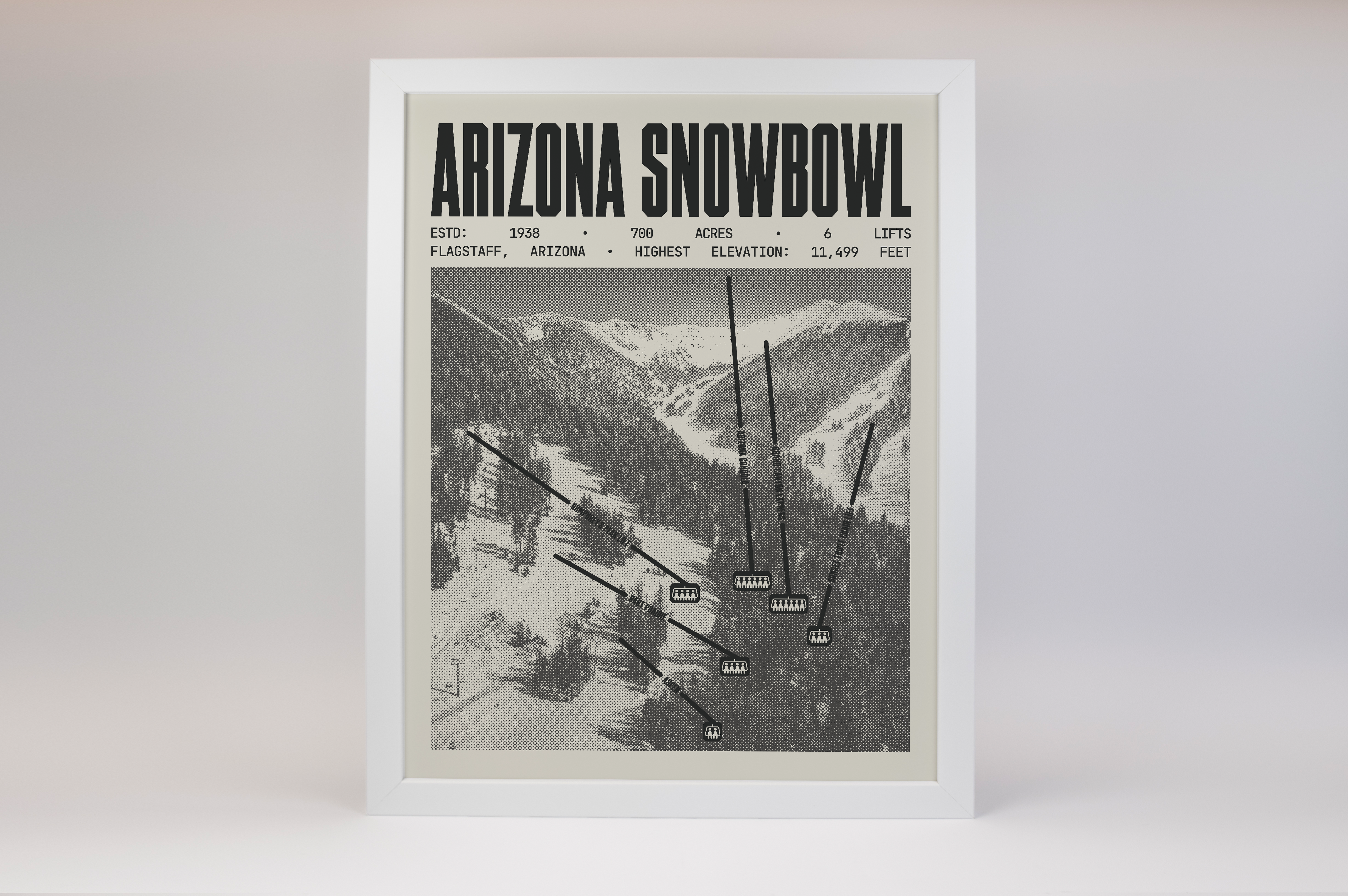 Arizona Snowbowl Resort Poster