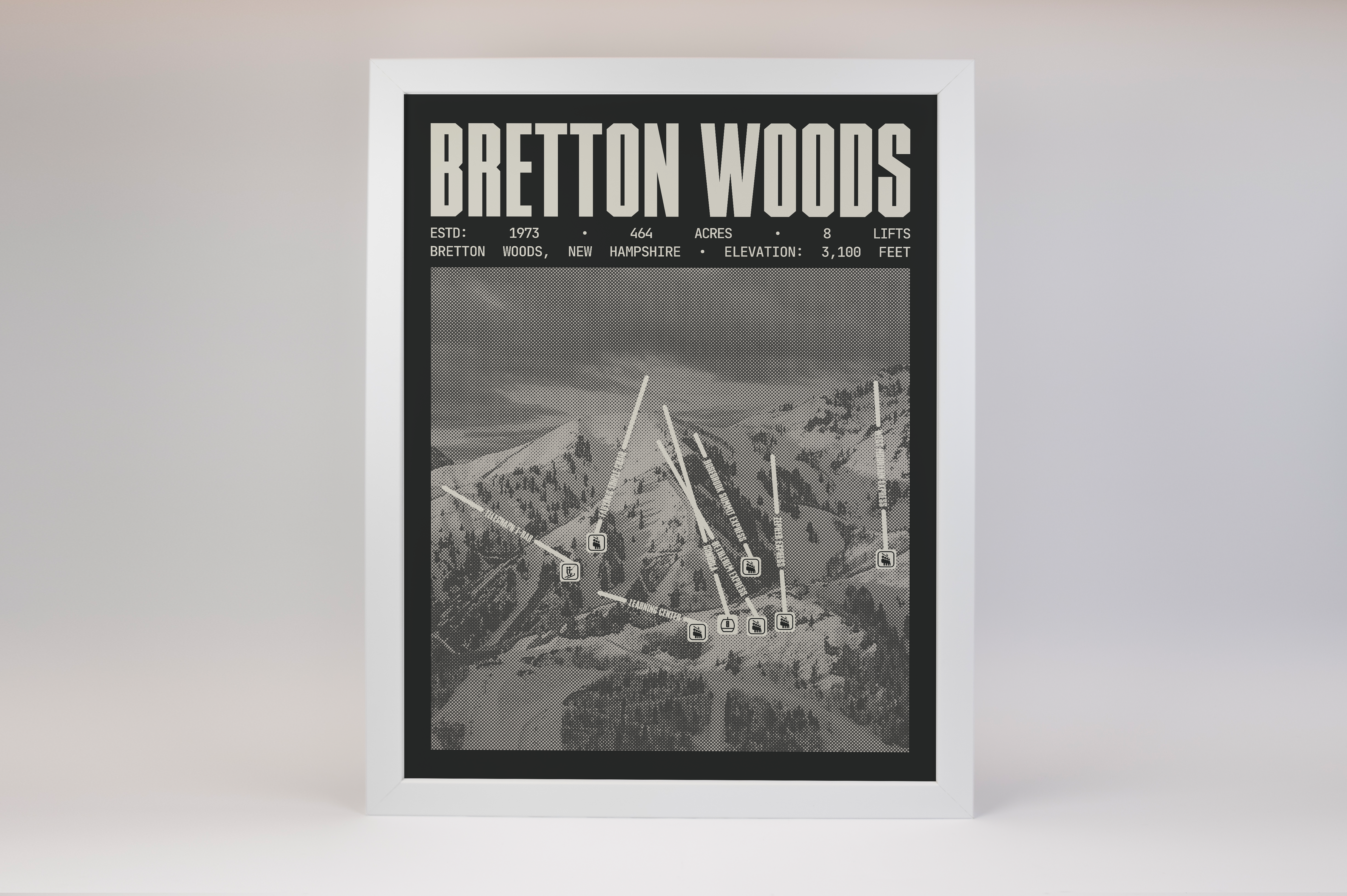 Bretton Woods Resort Poster
