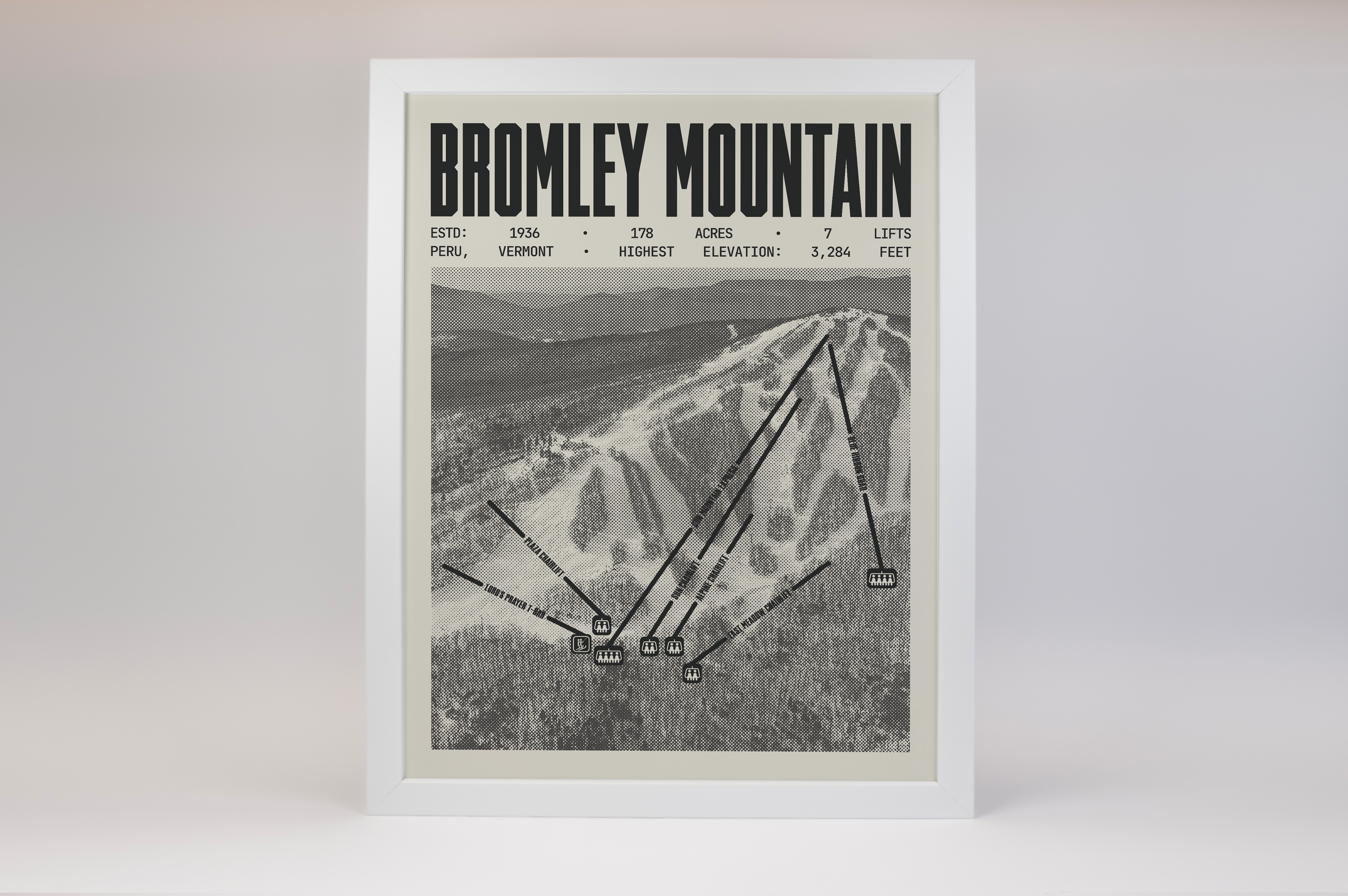Bromley Mountain Resort Poster