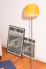 Bromley Mountain Resort Poster