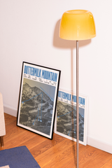 Buttermilk Mountain Ski Resort Poster