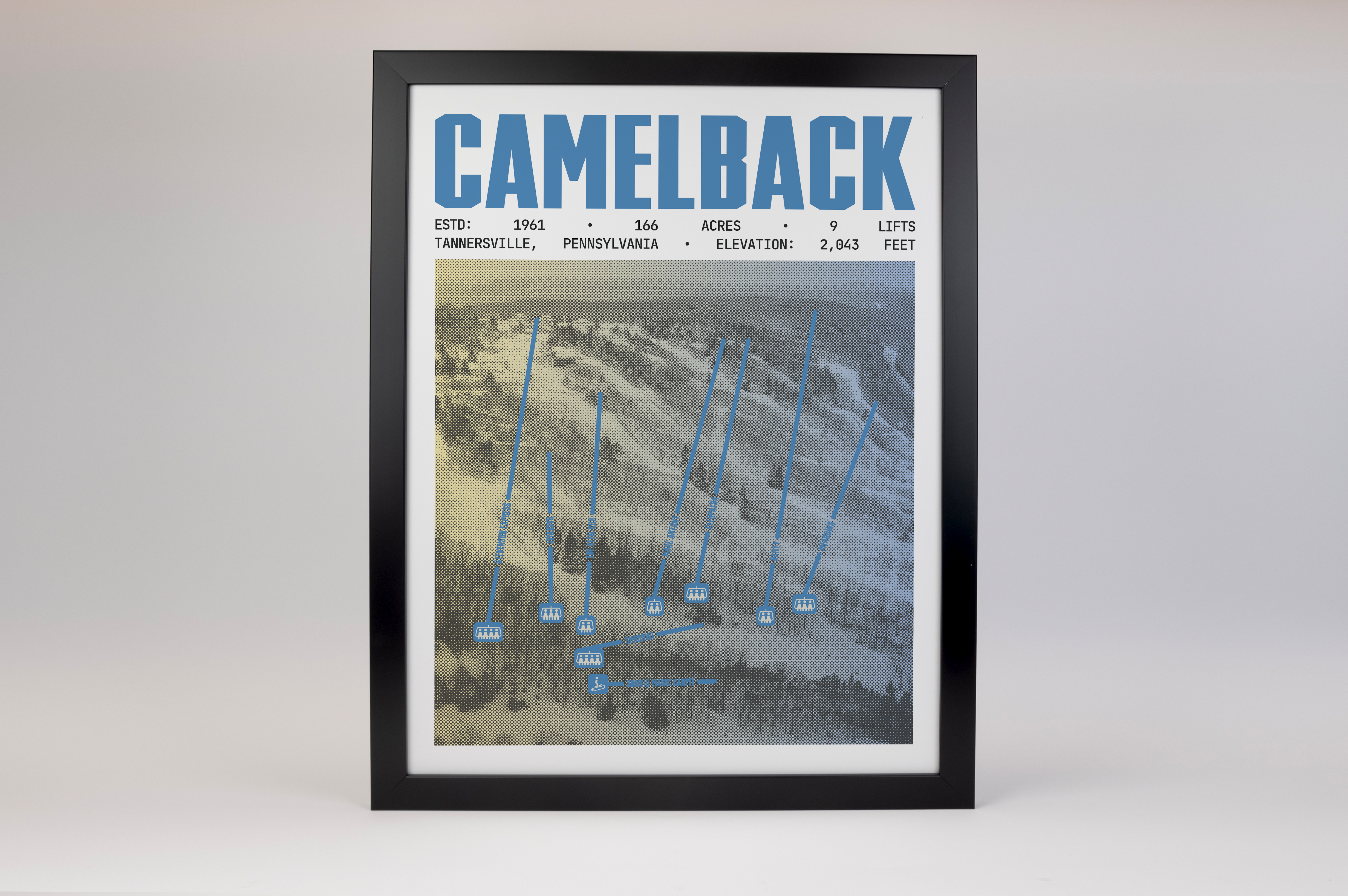 Camelback Resort Poster