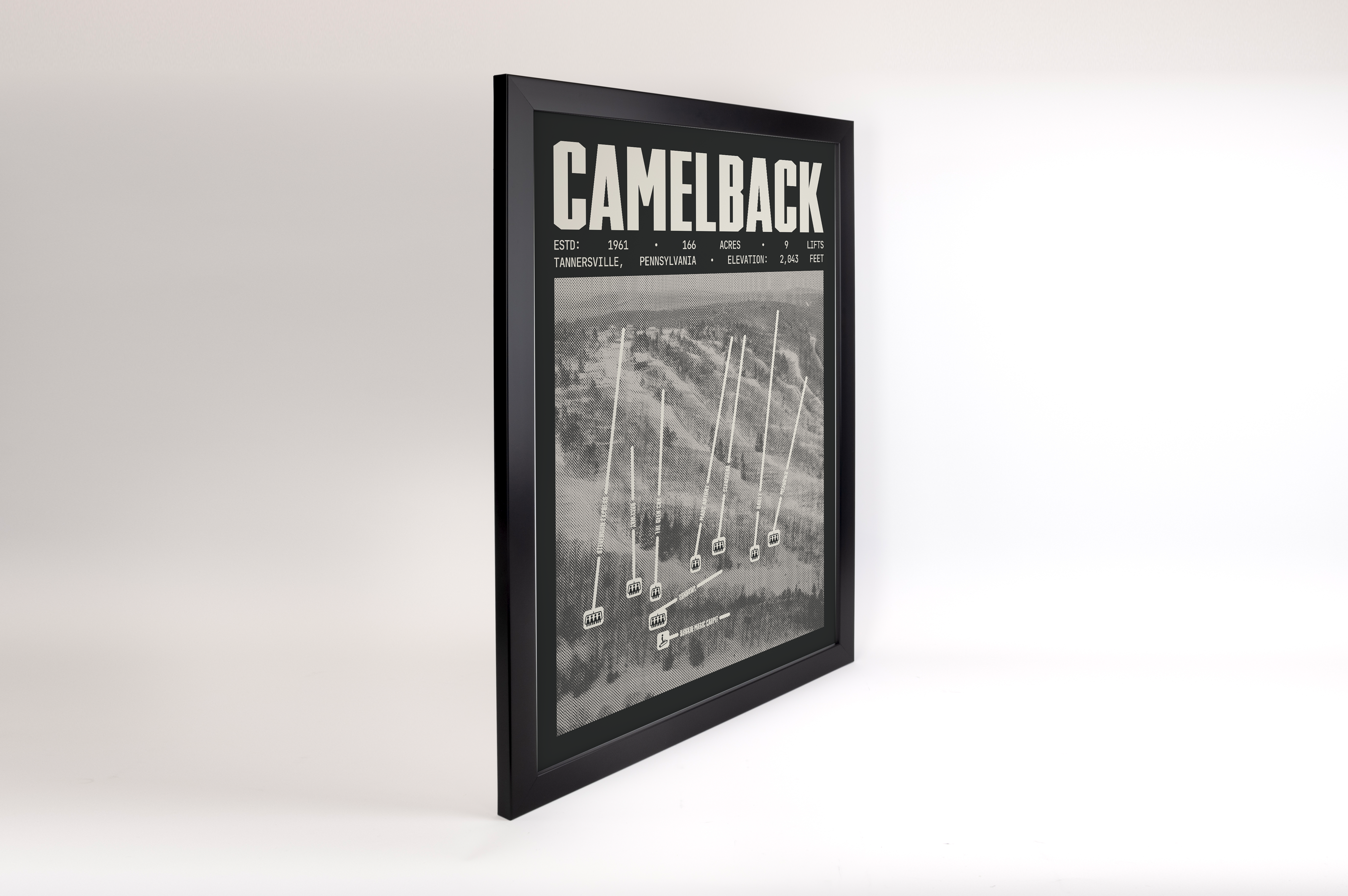 Camelback Resort Poster