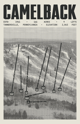 Camelback Resort Poster