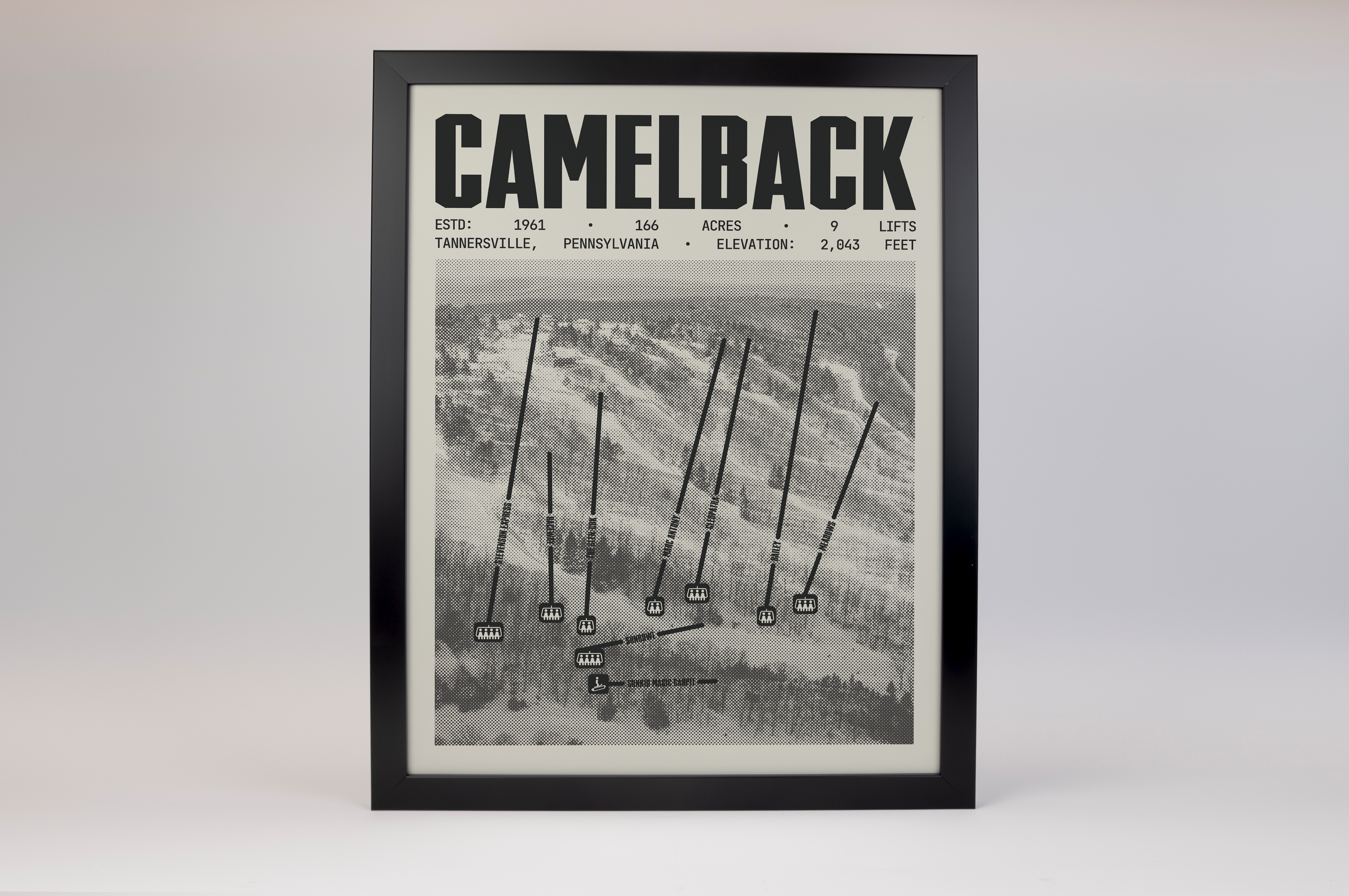 Camelback Resort Poster