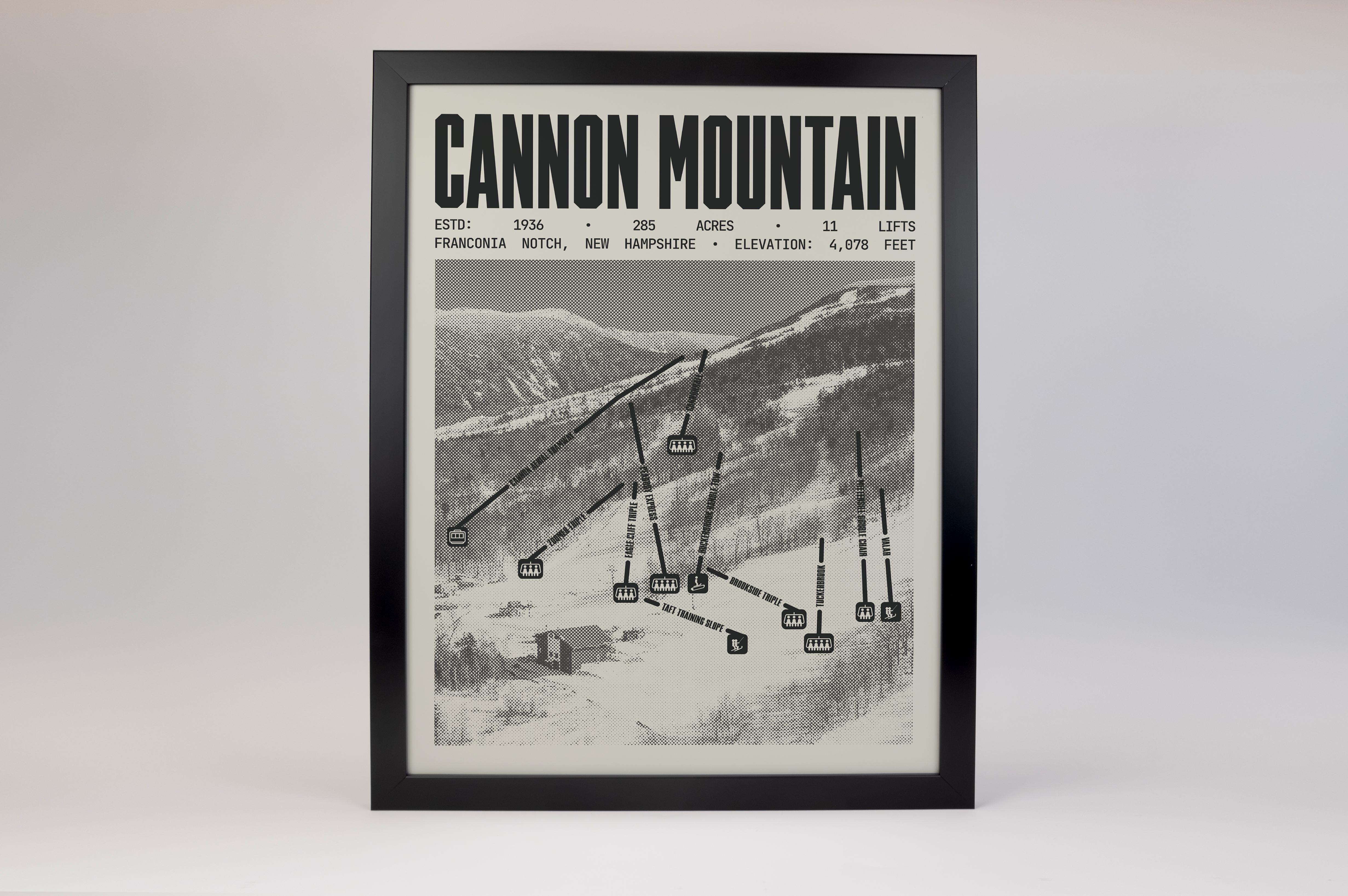 Cannon Mountain Resort Poster
