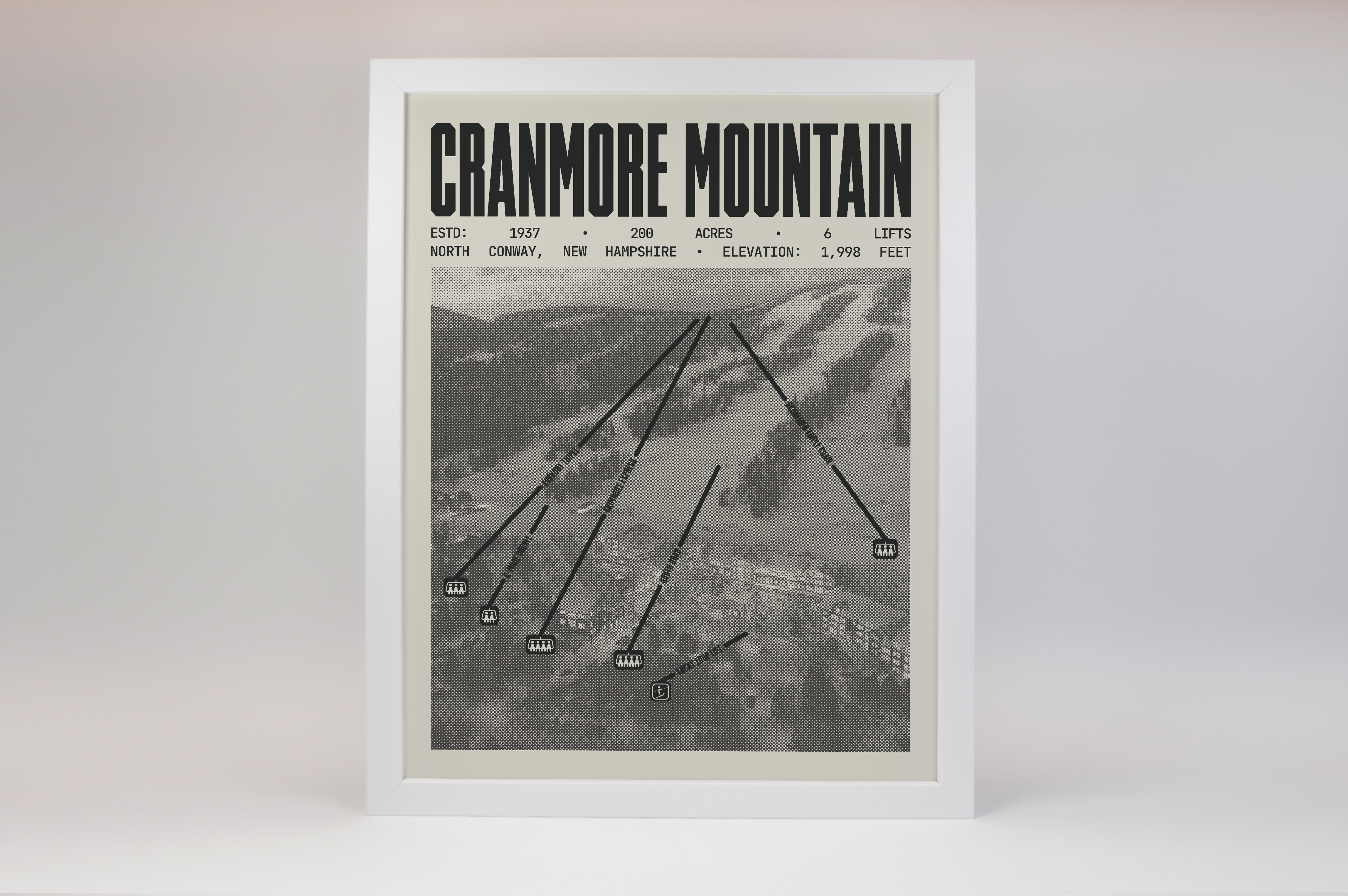 Cranmore Mountain Resort Poster