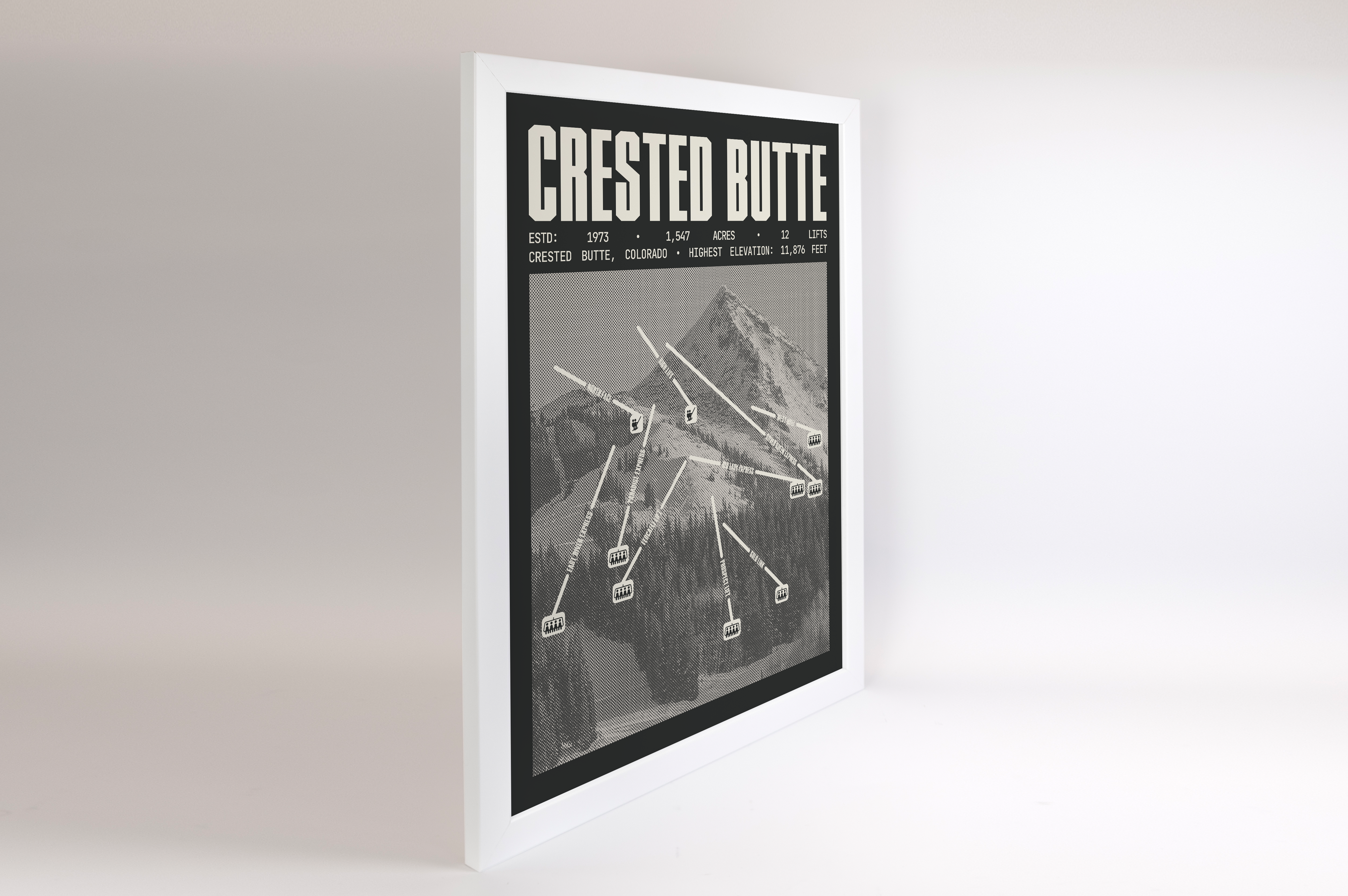 Crested Butte Resort Poster