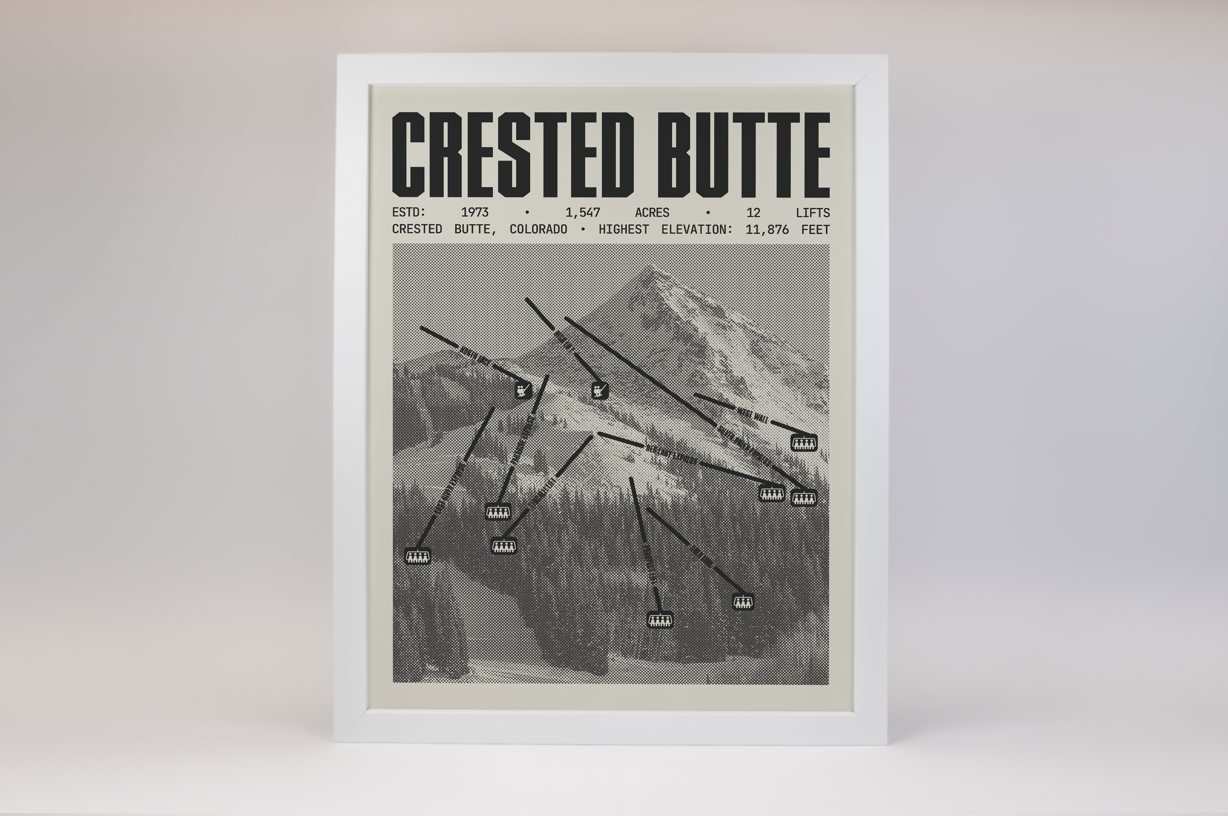 Crested Butte Resort Poster
