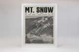 Mount Snow Resort Poster