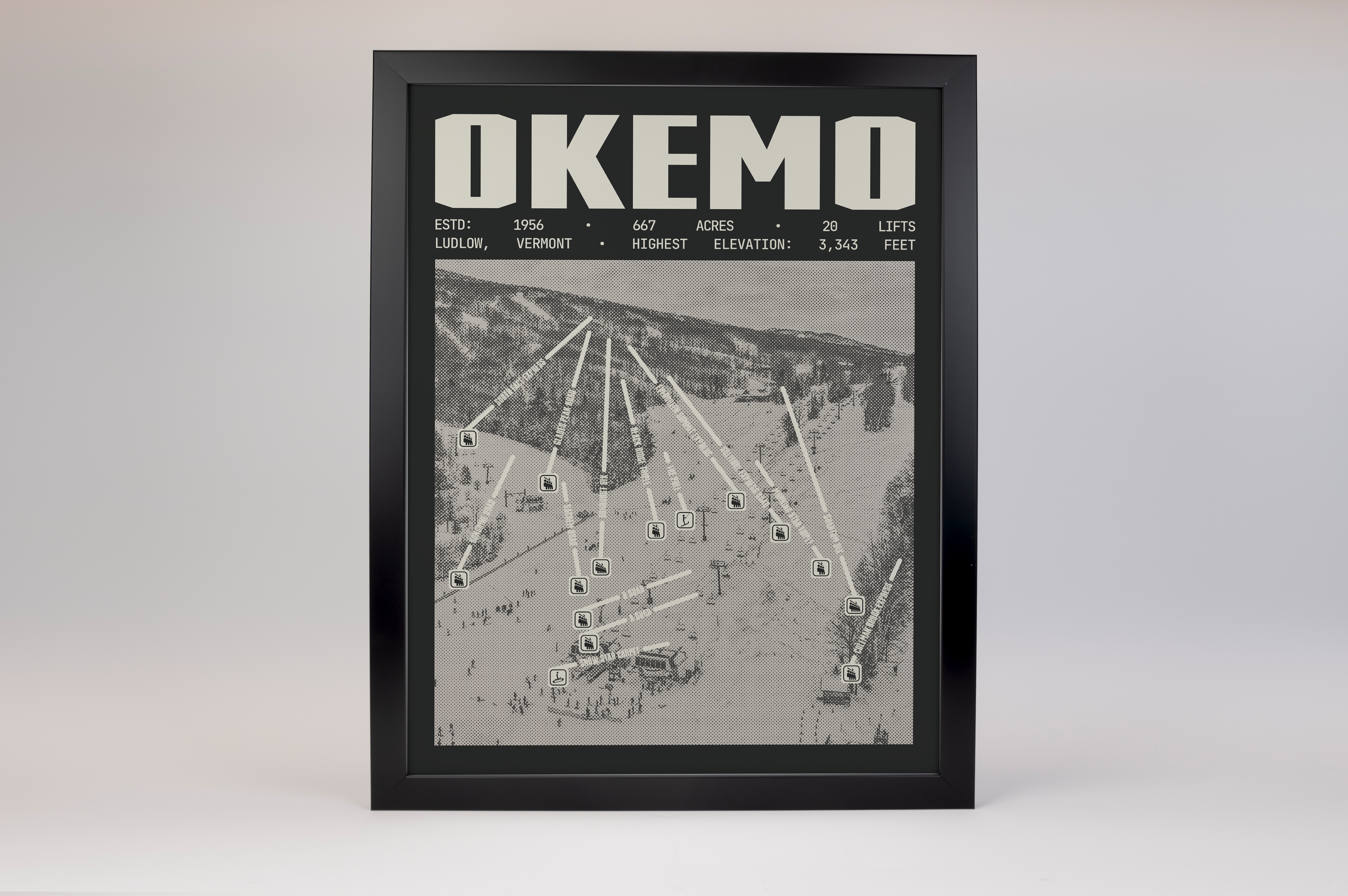 Okemo Resort Poster