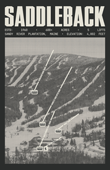 Saddleback Resort Poster