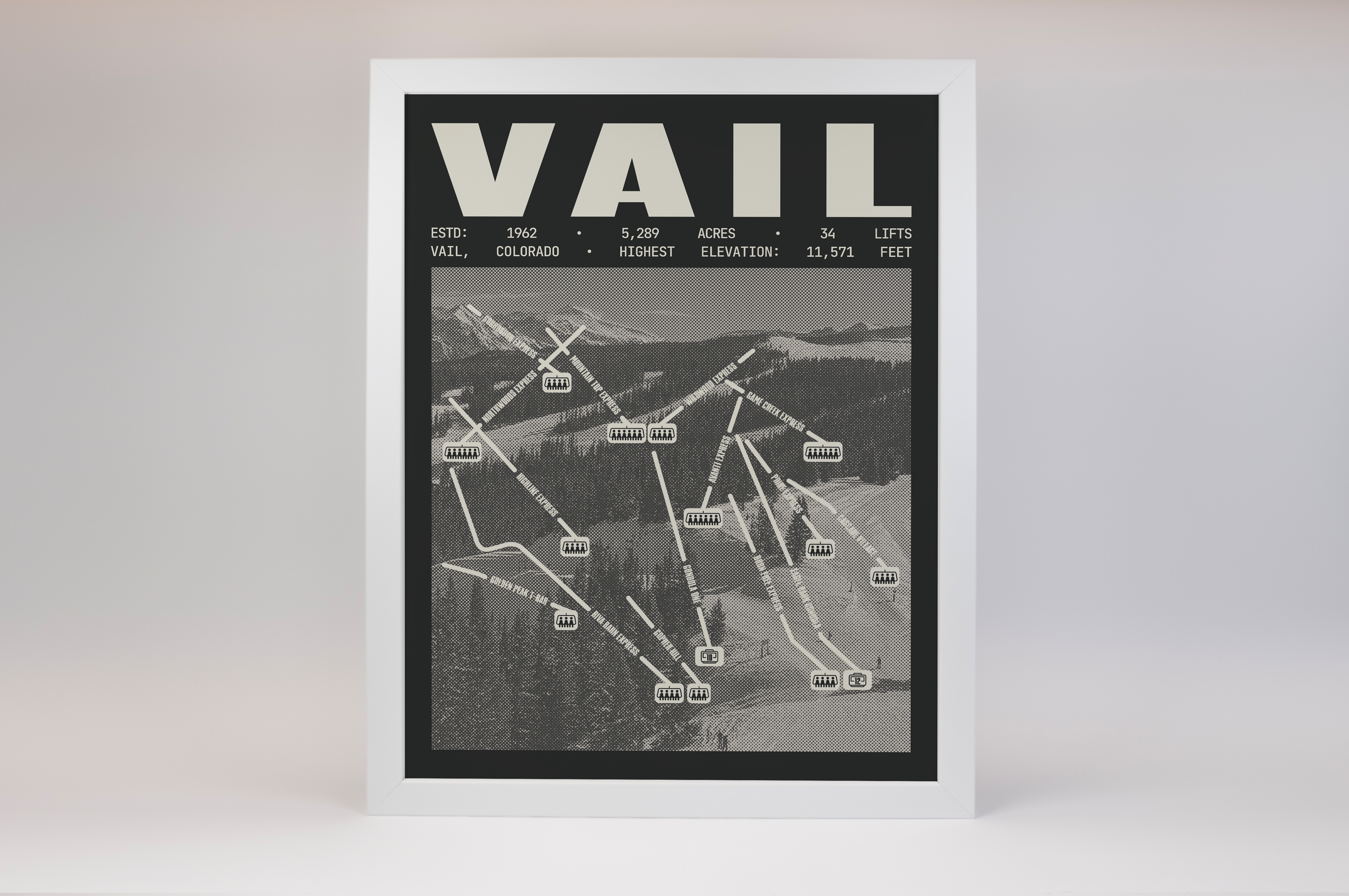 Vail Resort Poster