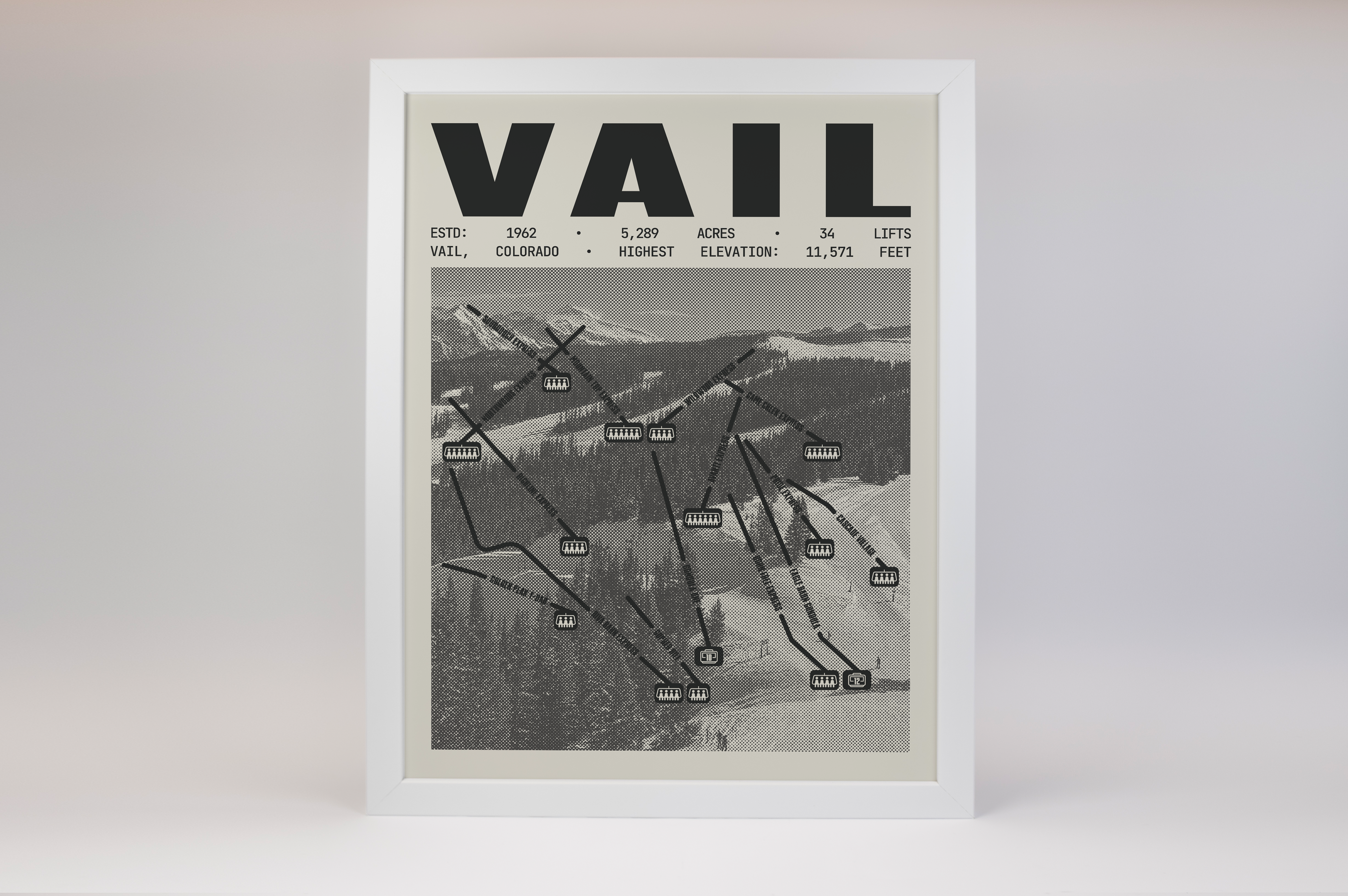 Vail Resort Poster