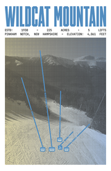 Wildcat Mountain Resort Poster