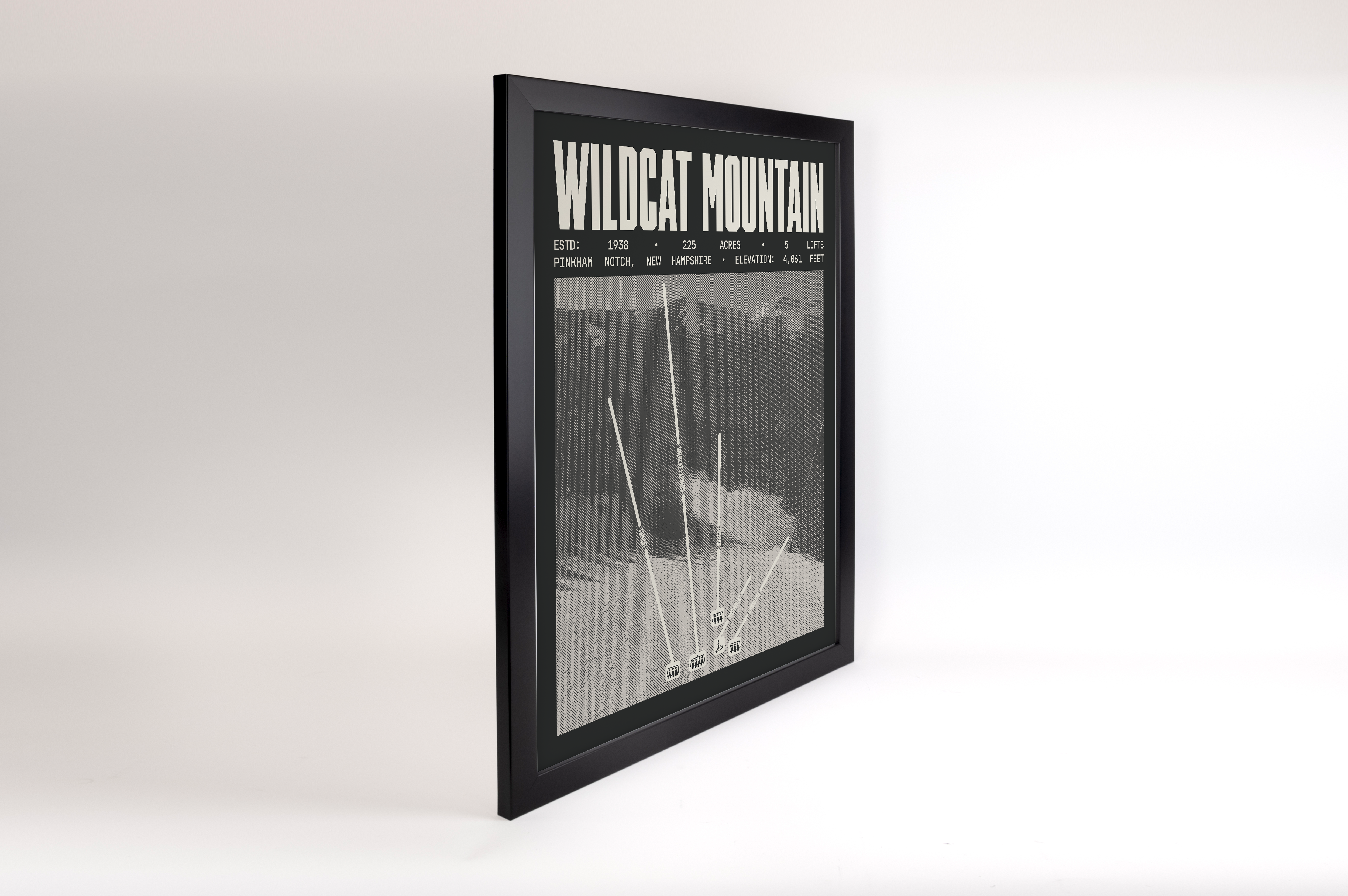 Wildcat Mountain Resort Poster