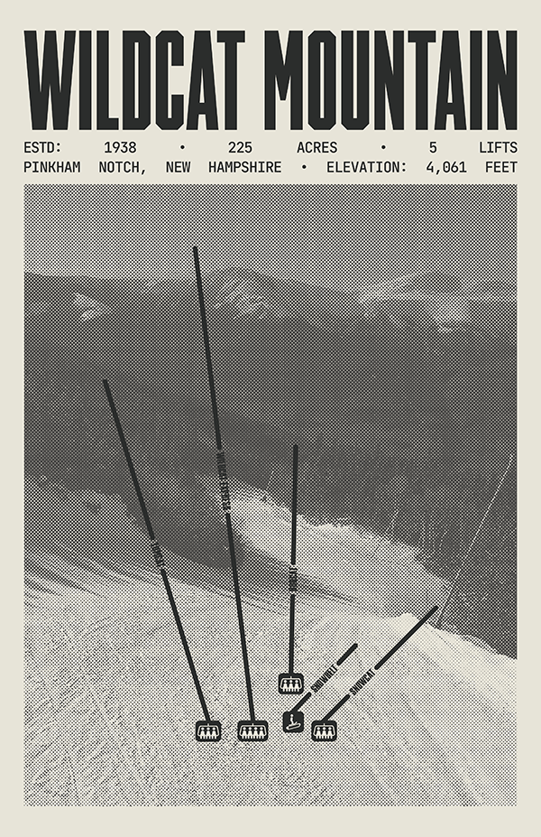 Wildcat Mountain Resort Poster