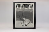 Wildcat Mountain Resort Poster