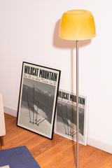 Wildcat Mountain Resort Poster